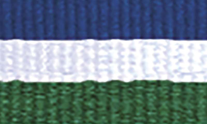 orginal_1065bu-wh-gn-1.jpg