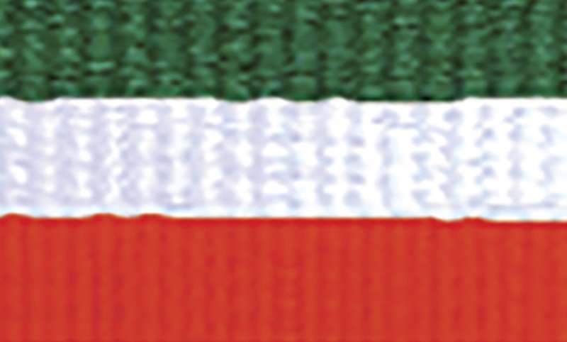 orginal_1065gn-wh-or-1.jpg